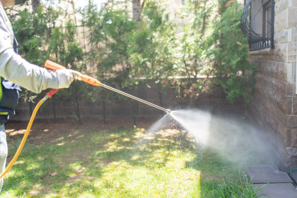 Best Bird Control  in Emerd Mountain, AL